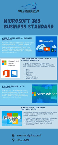 Microsoft 365 Business Standard (30).jpg