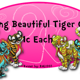 1c tiger cats