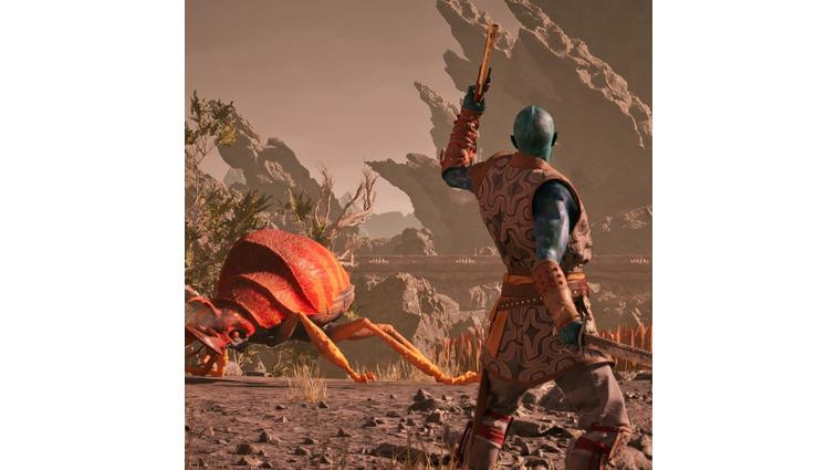 None Avowed makes the wait for the next Elder Scrolls much easier