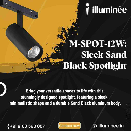 Black & Gold Industrial Light – Elevate Your Space with Modern Elegance.jpg