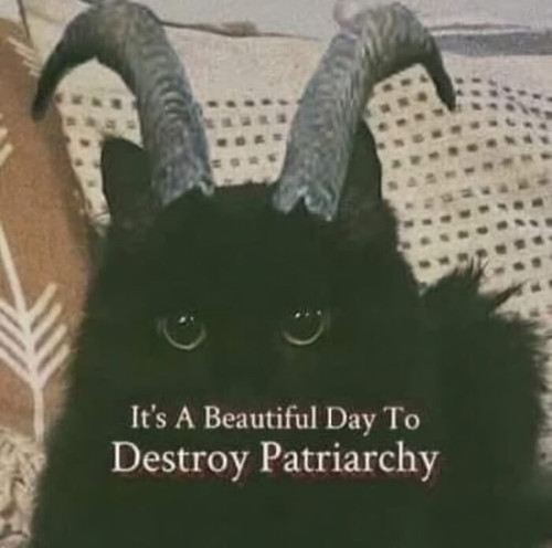 67c1940356bef just girly things posts.jpg