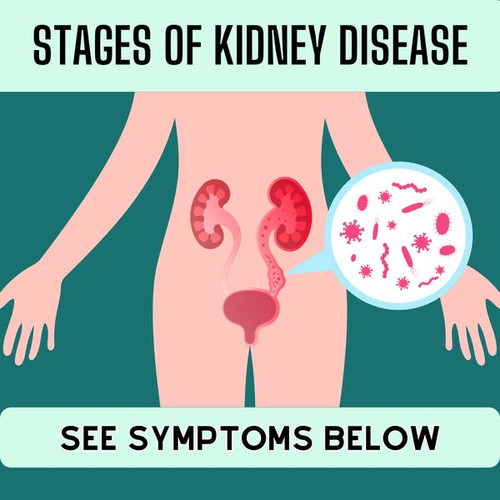 481775851 1205915417905379 8275726657679289177 n.jpg