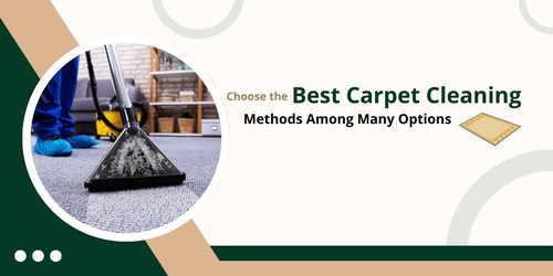 Choose the Best Carpet Cleaning.jpg