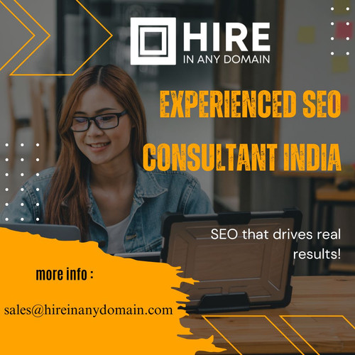 Experienced SEO Consultant India.jpg