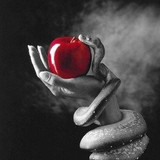 909702fe315fdd4893eb9667af3b75f2