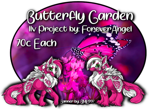 butterfly garden.png