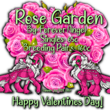 rose garden