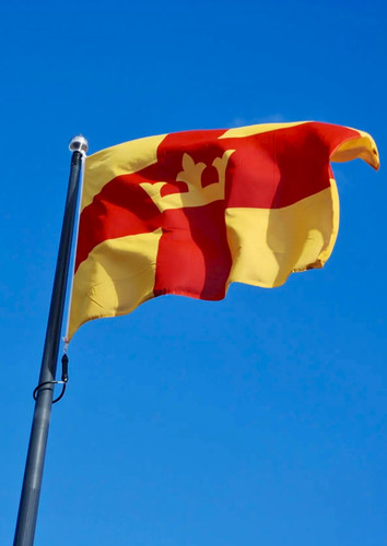 The flag of the Church of Sweden ✝.jpg