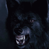 8823400 ezgif.com crop.gif