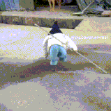 DnlRbQ1cfMgs6v9.gif