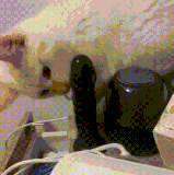 第一天的报恩练习还是有些生疏.gif