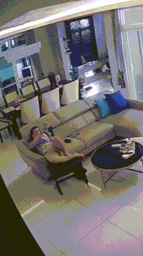 懂事的乖猫奴.gif