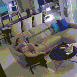 懂事的乖猫奴