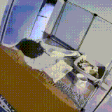 真是不得安生.gif