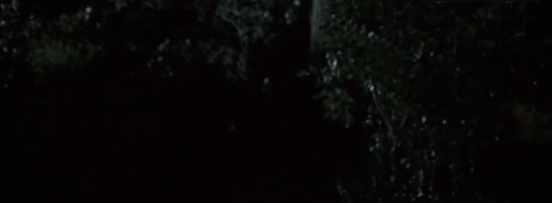 ezgif.com crop (1).gif