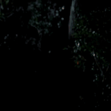 ezgif.com crop.gif