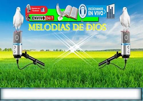 257830594 1495493217476166 7818525498206706725 n.jpg