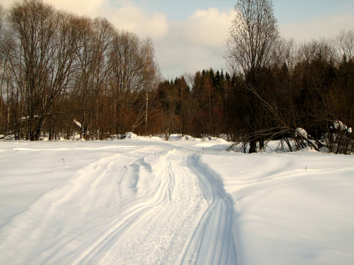 IMG 0187 1.jpg