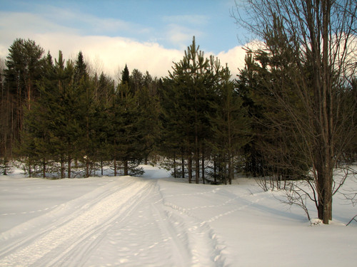 IMG 0198 1.jpg