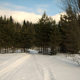 IMG 0198 1