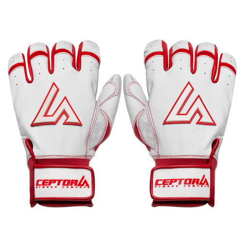 Gloves 1 Session01645.jpg