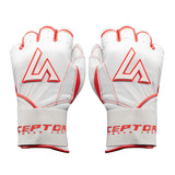 Ceptor 6.12 JG01889 copy