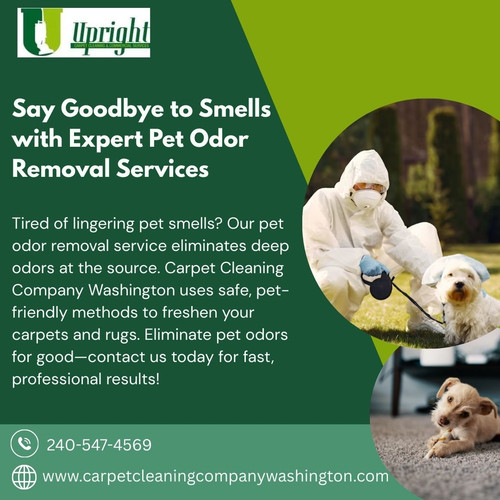 Say Goodbye to Smells with Expert Pet Odor Removal Services.jpg