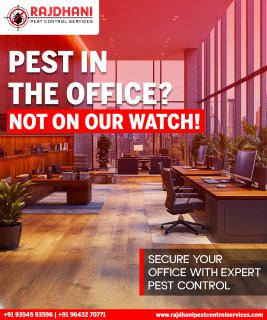Best Termite Control Solutions in Noida | Rajdhani Pest Control Services.jpg