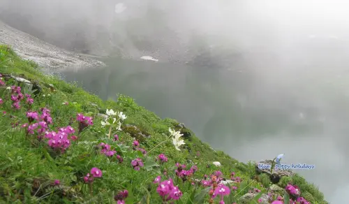 Valley Of Flowers Tour Packages.webp