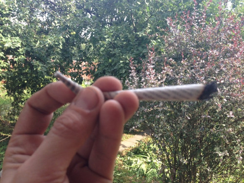 b94bb037888c81dfc79fcb9e68e40b4b