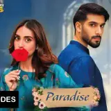 t310 paradise card