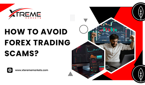 How to avoid forex trading scams (1).png