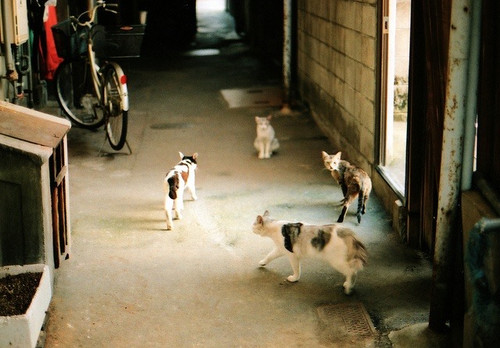 IMG 7511.jpg