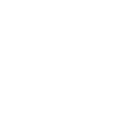 Dart programming language