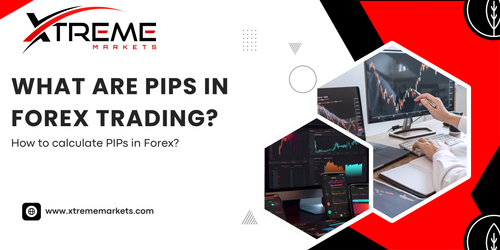 What are PIPs in forex trading.png