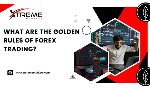 What are the golden rules of forex trading.png