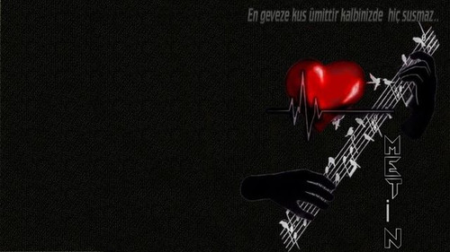 489730562 1382318419646322 5260980144620035290 n.jpg