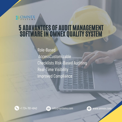 5 Adavantges of Audit Management Software in omnex quality system.jpg