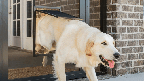 Large Doggie Doors for Big Pet Freedom.gif