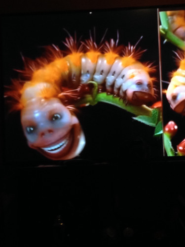 image.jpg