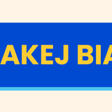 landing page upsell 11