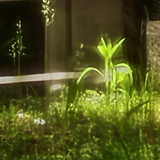 IMG 20250501 145317 100x