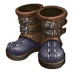 bota 1.png
