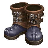 bota 1
