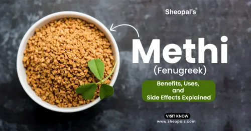 Methi (Fenugreek) Benefits, Uses, and Side Effects Explained.webp