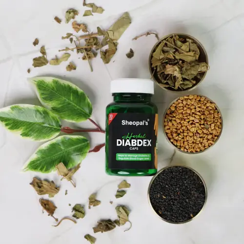 Sheopals Diabdex: Herbal Diabetes Capsule to Manage Blood Sugar.webp
