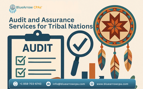 Audit and Assurance Services for Tribal Nations.png