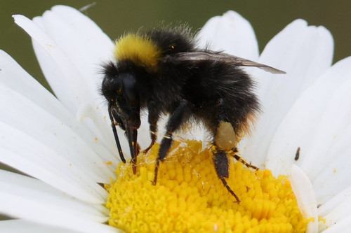 GrTj4YnXkAAUHJV.jpg