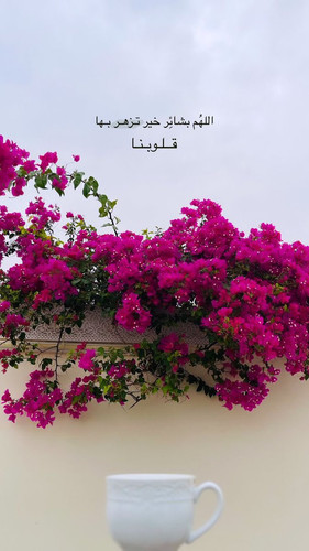 GrT9cAlXEAAmNP4.jpg