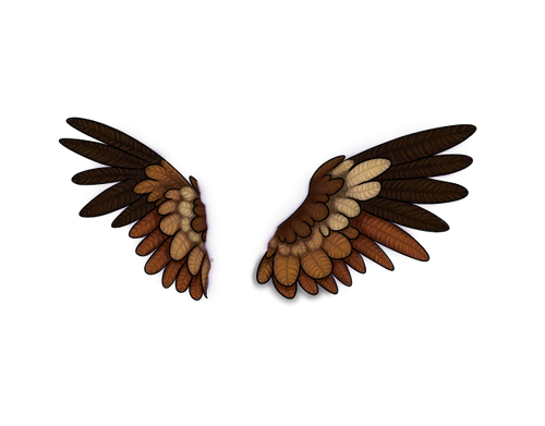 tigon wing C.png